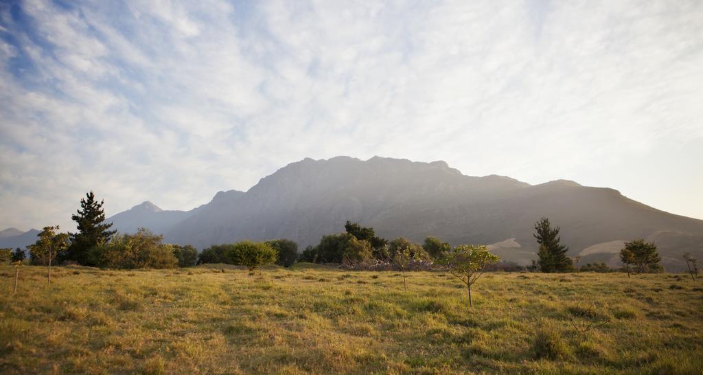 Rozendal Stay Stellenbosch Extérieur photo