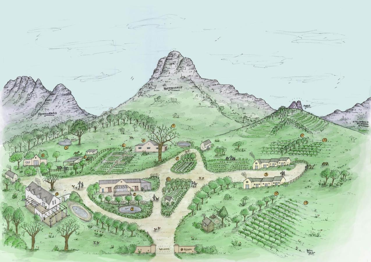 Rozendal Stay Stellenbosch Extérieur photo